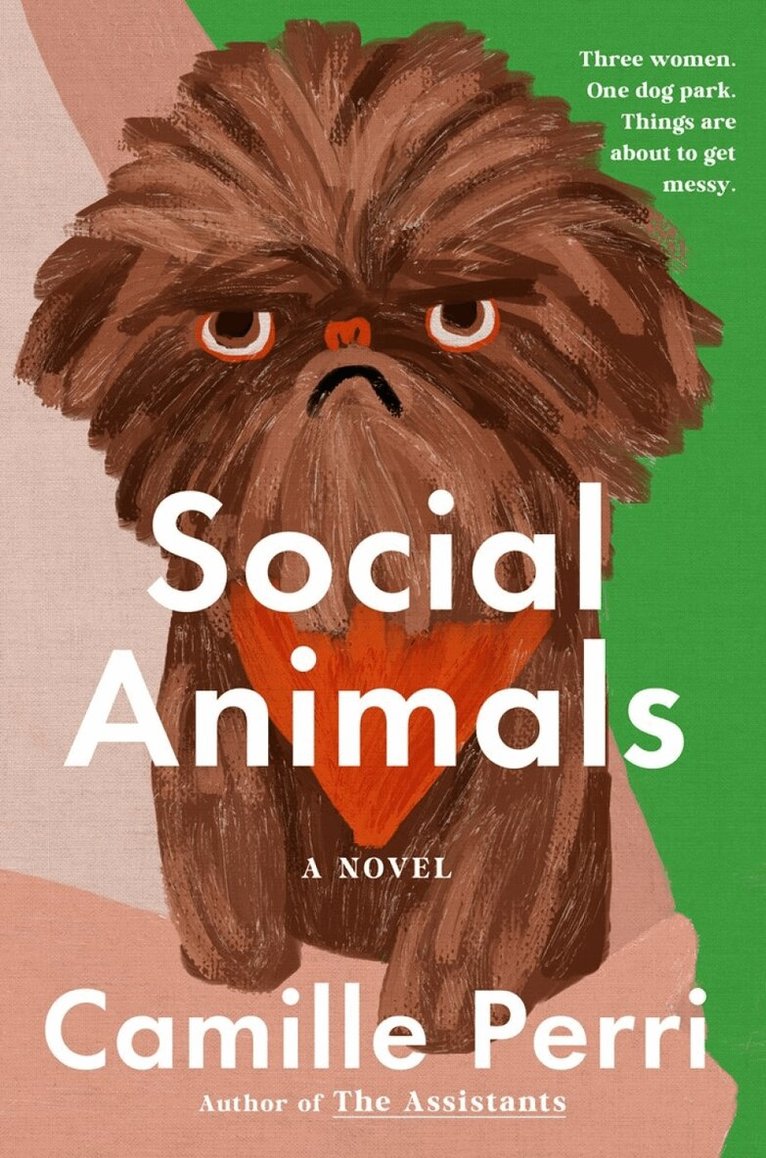 Camille Perri - Social Animals, Inbunden
