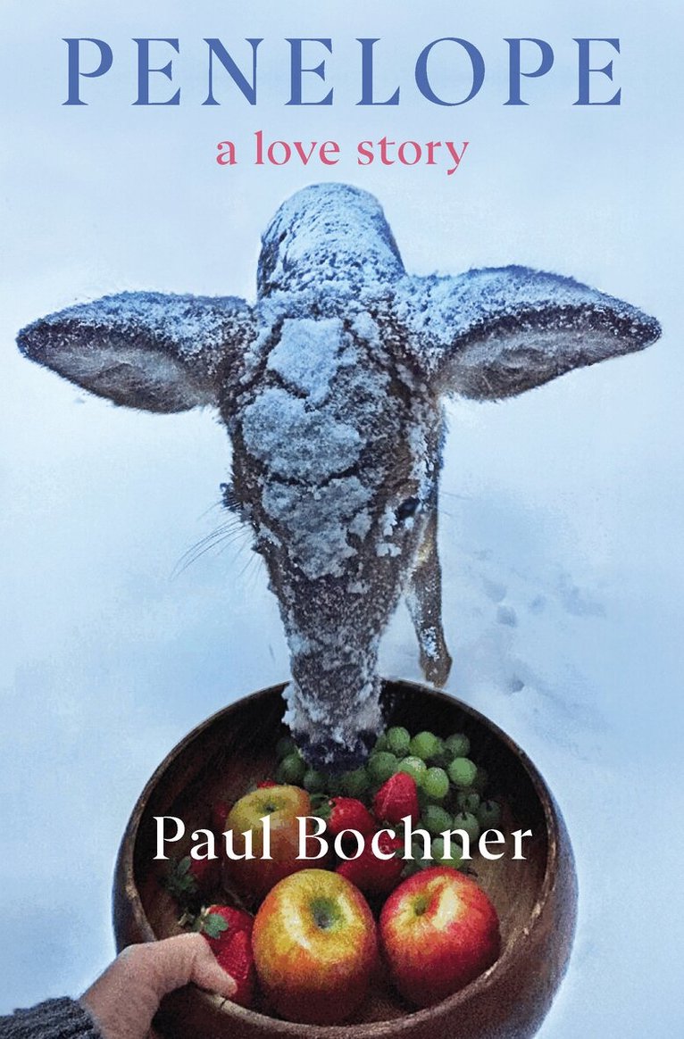Paul Bochner - Penelope, Häftad