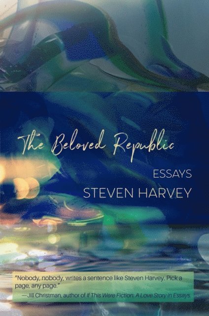 Steven Harvey - Beloved Republic, E-bok