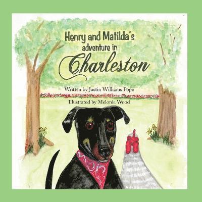 Justin W Pope - Henry and Matilda's Adventure in Charleston, Häftad