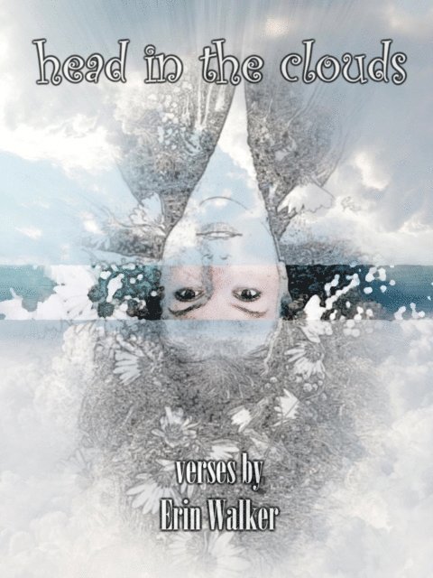 Erin Walker - Head in the Clouds, E-bok