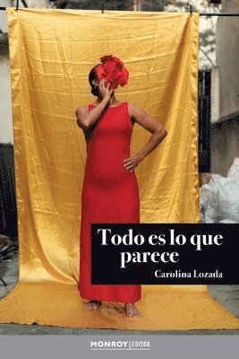 Carolina Lozada - Todo es lo que parece, Häftad