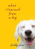 What I Learned From A Dog