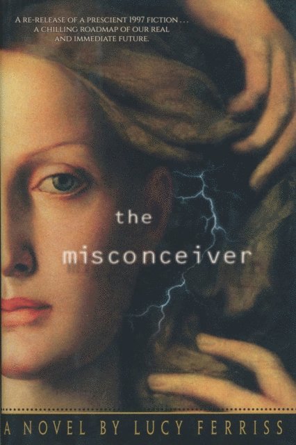 Lucy Ferriss - Misconceiver, E-bok