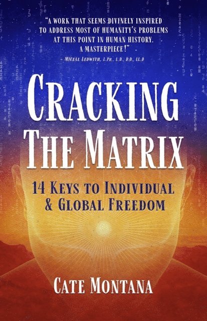 Cate Montana - Cracking the Matrix, E-bok