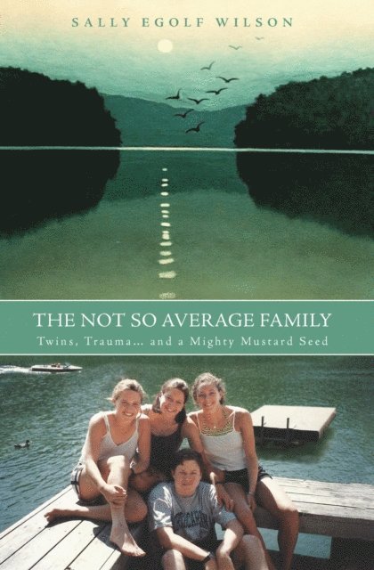 Sally Wilson - Not So Average Family, E-bok