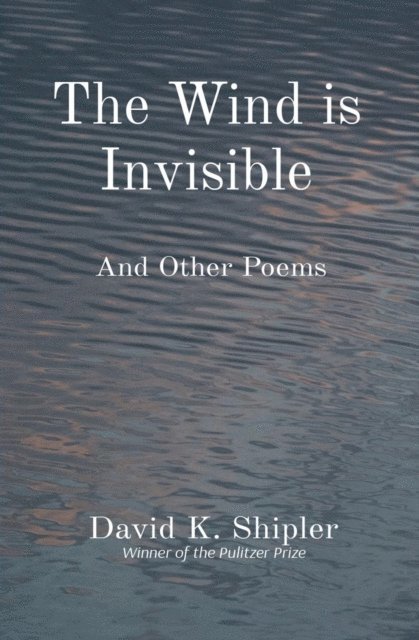 David K Shipler - Wind is Invisible, E-bok