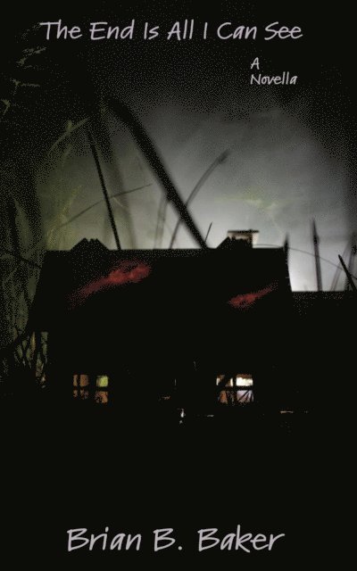 Brian B. Baker - End Is All I Can See, E-bok