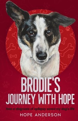 Hope Anderson - Brodie's Journey With Hope, Häftad