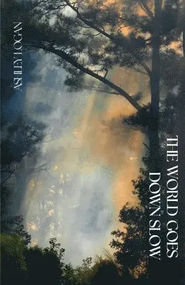 Ashley Logan - World Goes Down Slow, Häftad. Tillgänglighet: Lägg i varukorg
