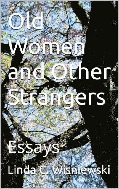Linda C Wisniewski - Old Women and Other Strangers, Häftad
