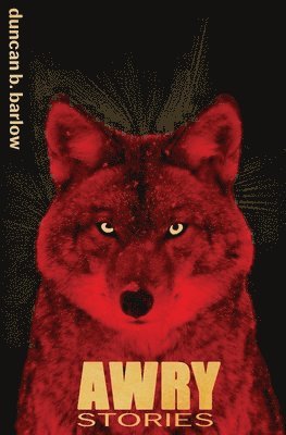 Duncan B Barlow - Awry, Häftad