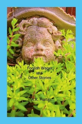Anne Harlan - Foolish Wager and Other Stories, Häftad
