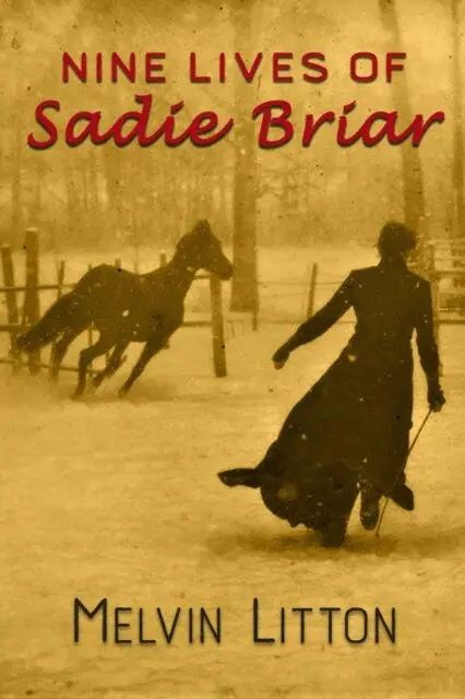 Melvin Litton - Nine Lives of Sadie Briar, E-bok. Tillgänglighet: Lägg i varukorg
