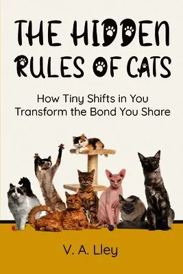 Hidden Rules of Cats