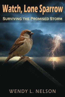 Wendy L Nelson - Surviving the Promised Storm, Häftad. Tillgänglighet: Tillfälligt slut
