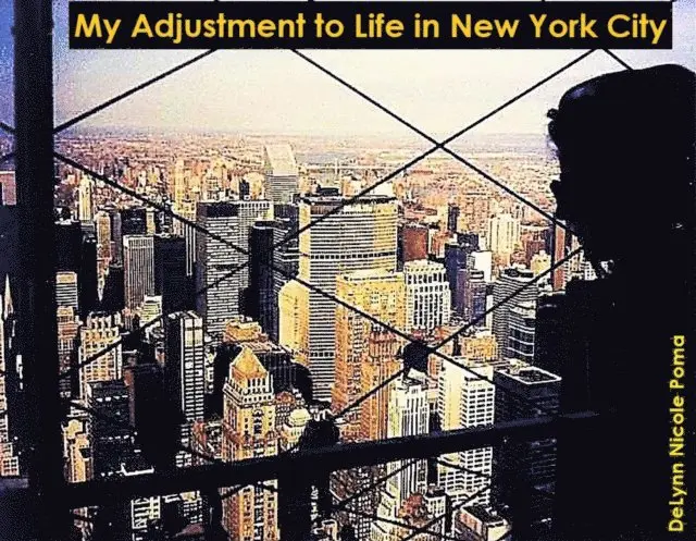 DeLynn Nicole Poma - My Adjustment to Life in New York City, E-bok. Tillgänglighet: Lägg i varukorg