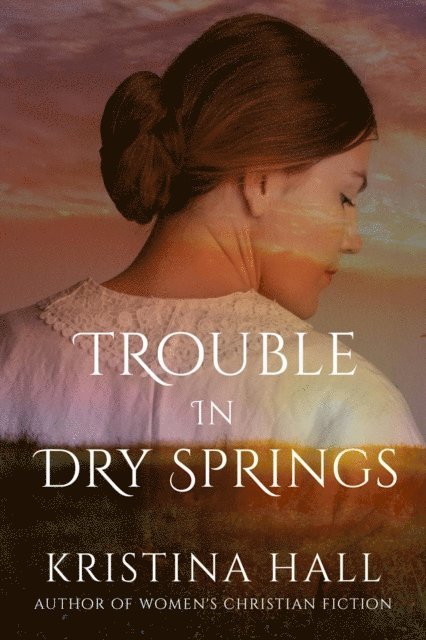 Kristina Hall - Trouble in Dry Springs, E-bok