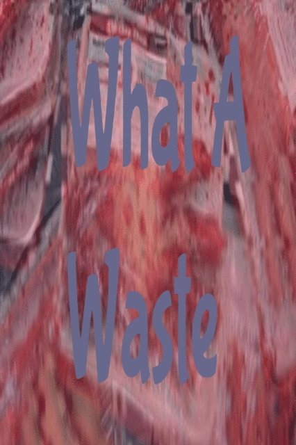 Nathanael Smith - What A Waste, E-bok