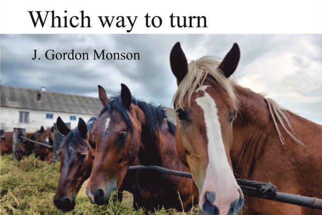 J. Gordon Monson - Which Way to Turn, E-bok