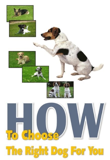 RAMSESVII - How To Choose The Right Dog For You, E-bok. Tillgänglighet: Lägg i varukorg
