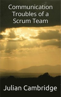 Communication Troubles of a Scrum Team