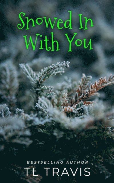 TL Travis - Snowed In With You, E-bok