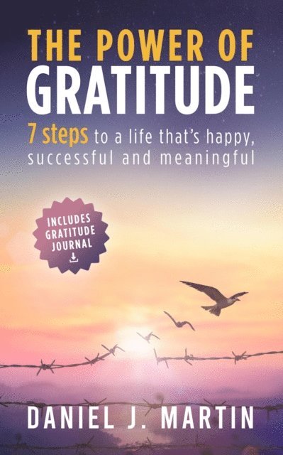Daniel J. Martin - Power of Gratitude: 7 Steps to a Happier, More Successful and More Meaningful Life, E-bok
