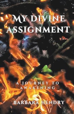 My Divine Assignment