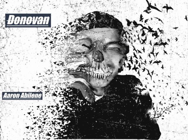 Aaron Abilene - Donovan, E-bok