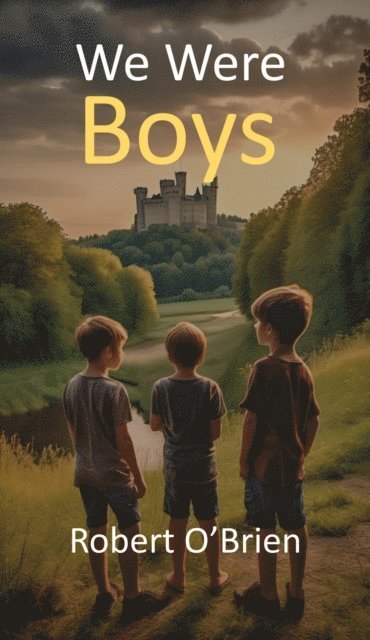 Robert O'Brien - We Were Boys, E-bok
