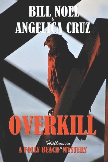Angelica Cruz, Bill Noel - Overkill, E-bok