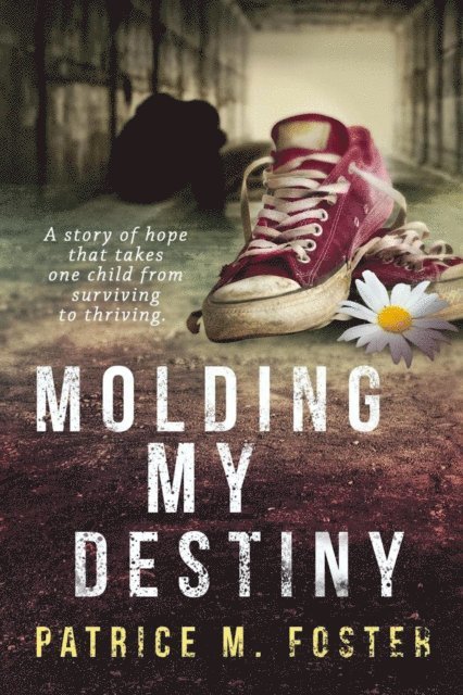 Patrice M Foster - Molding My Destiny A story of hope that takes one child from surviving to thriving, E-bok