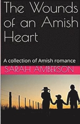 Sarah Amberson - Wounds of an Amish Heart, Häftad