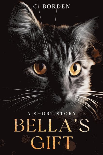 C. Borden - Bella's Gift, E-bok