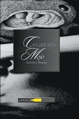 Salvatore Romano - Creation's Mojo, versione italiana, Häftad