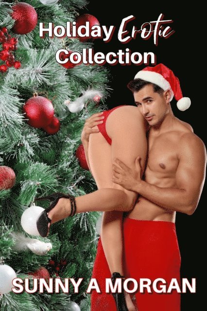 Sunny A Morgan - Holiday  Erotica Collection, E-bok