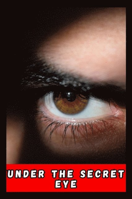 Ricardo Almeida - Under The Secret Eye, E-bok