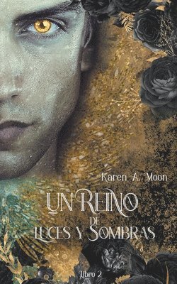 Karen A Moon - Reino de Luces y Sombras, Häftad