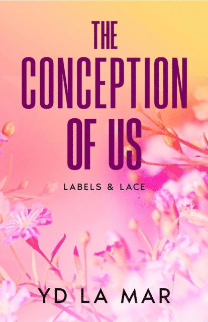 YD La Mar - Conception of Us, E-bok
