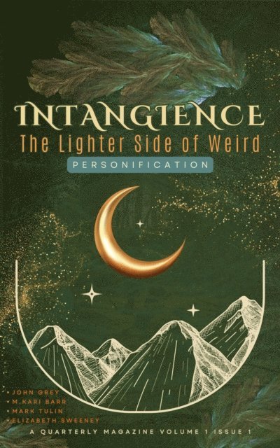 M. Kari Barr - Intangience: The Lighter Side of Weird, E-bok