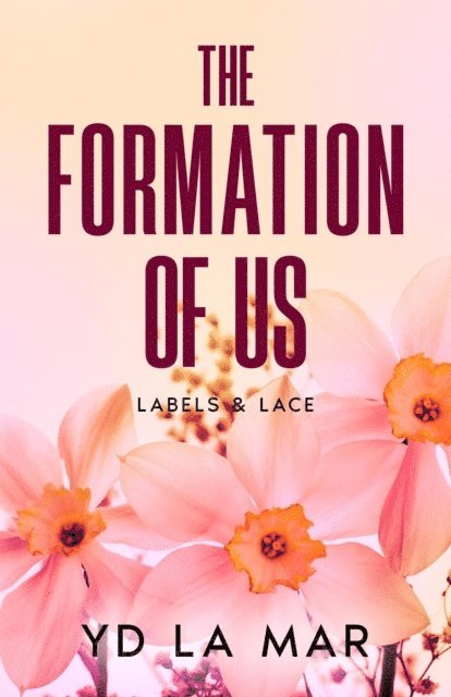YD La Mar - Formation of Us, E-bok