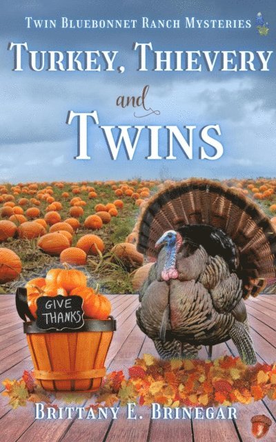 Brittany E. Brinegar - Turkey, Thievery, and Twins, E-bok