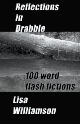 Lisa Williamson - Reflections in Drabble, Häftad
