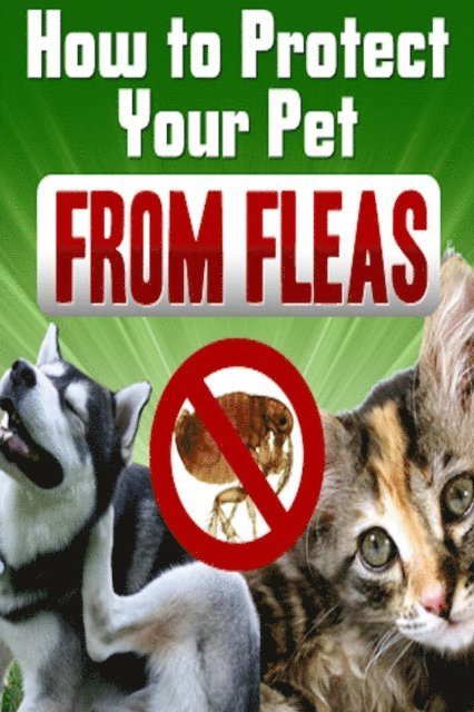 RAMSESVII - How To Protect Your Pet From Fleas, E-bok. Tillgänglighet: Lägg i varukorg