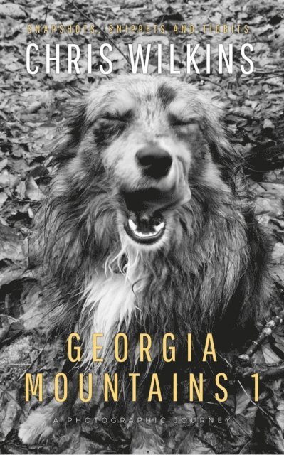 Chris Wilkins - Georgia Mountains 1, E-bok