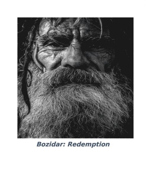 mark irwin - Bozidar: Redemption, E-bok