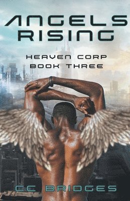 CC Bridges - Angels Rising, Häftad. Tillgänglighet: Lägg i varukorg
