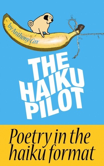 Anthony Cox - Haiku Pilot, E-bok