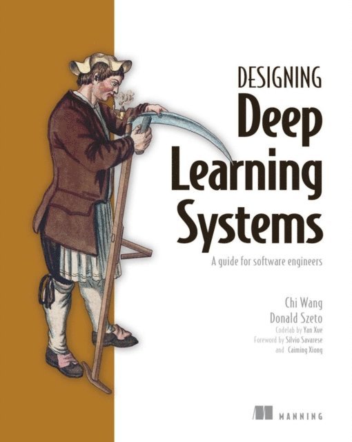 Chi Wang, rayaan - Designing deep learning systems, E-bok